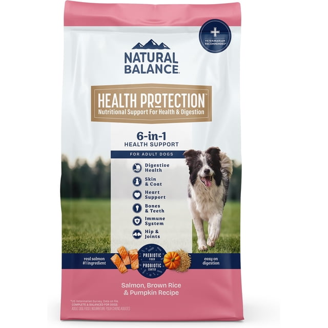 Natural Balance Health Protection Adult Real Salmon, Brown Rice & Pumpkin Dry Dog Food, 22-lb bag
