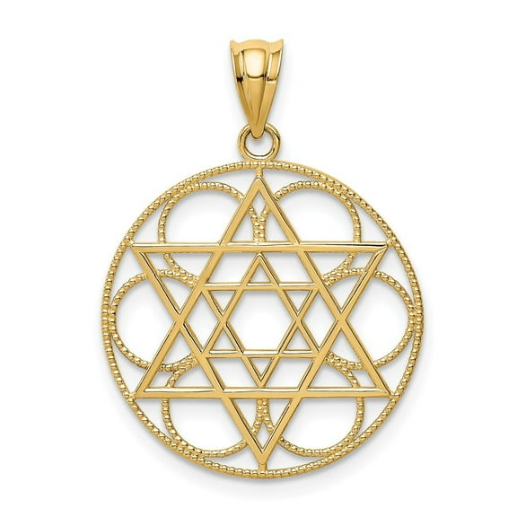 Auriga Fine Jewelry 14K Yellow Gold Star Of David Circle Pendant for Women (L-31 mm,W-22 mm)