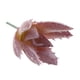 thumbnail image 2 of Plantas Suculentas Artificiales Hierba Desierto DIY Paisaje Flores Hogar Jardín Decoración Macarena Planta Artificial, 2 of 7