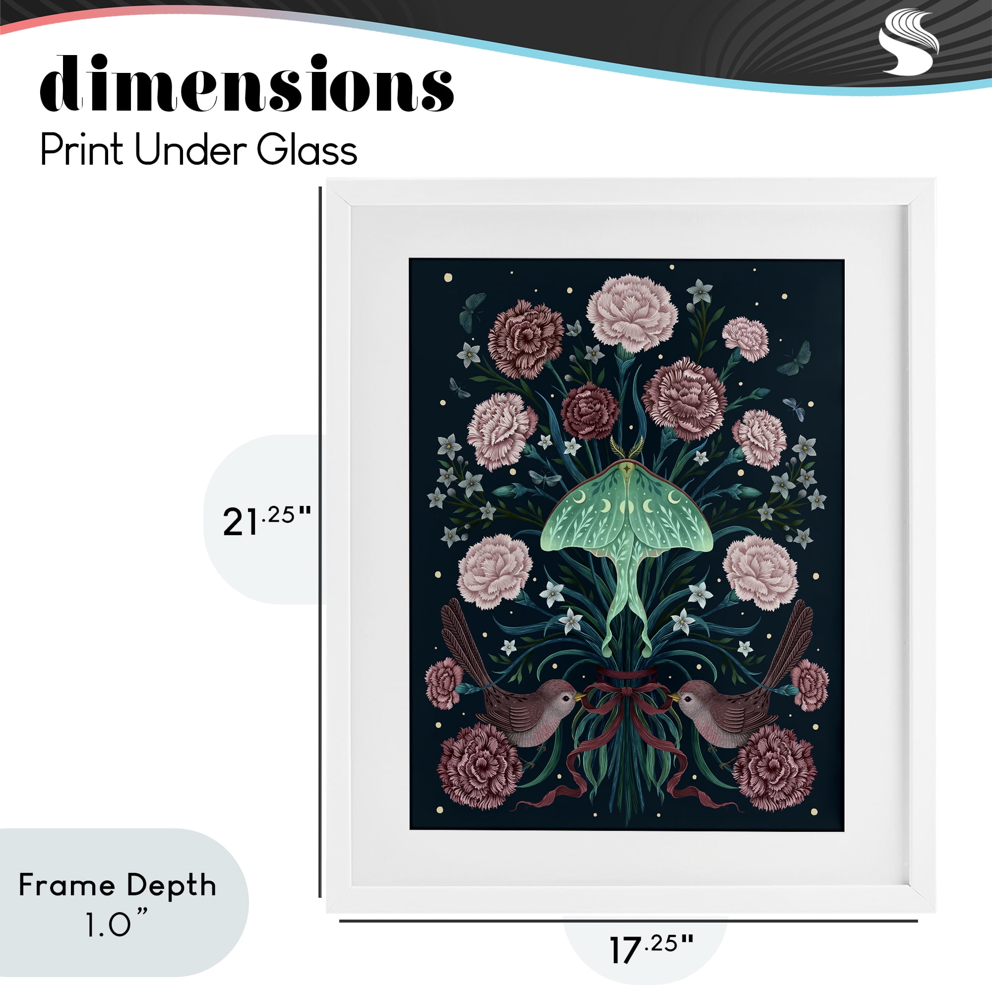Stupell Industries January Carnations & Moth White Framed Print Under Glass, design by Episodic Drawings