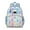 Rainbow Princess Flower, variant on Rainbow Princess Flower Pattern Backpack for School,Cute School Bag,Schoolbag with Adjustable Shoulder Straps & Padded Back,15.25"x11.5"x5.25"