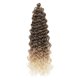 thumbnail image 1 of Zhuge Cabello de crochet ondulado profundo Cabello de crochet largo y rizado para mujeres Cabello trenzado de ondas oceánicas de 24 pulgadas, de color marrón oscuro a beige, 1 of 2