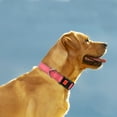 thumbnail image 7 of Taglory Reflective Dog Collar with Locking Buckle, Adjustable Nylon Collar for Small Dogs, Pink, 7 of 7