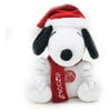 Snoopy and Friends Musical Plush