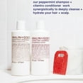 thumbnail image 2 of Malin + Goetz Shampooing, Menthe Poivrée, 16 Fl Oz, 2 of 7