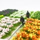 thumbnail image 4 of Cateissary 28 pack/lote, mechones de flores de pastos estáticos con detalle fácil de realizar para hacer modelos, amplia aplicación Artesanía polvo de rosa, 4 of 6