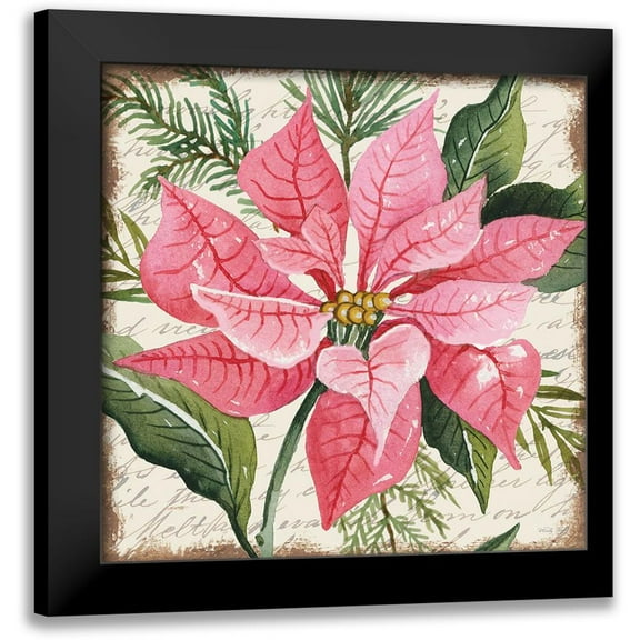 Jacobs, Cindy 12x12 Black Modern Framed Museum Art Print Titled - Pink Poinsettia Botanical