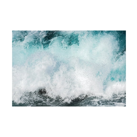 Trademark Fine Art Kaiki Matsuo Voice Of The Waves Canvas Wall Art