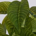 thumbnail image 2 of Vickerman VICK-FQ181501 Vickerman 11" Green Zebra Bush 3/Pk - FQ181501, 2 of 2
