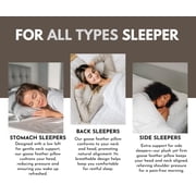 Overcloud Goose Feather and Down Pillows Queen Size Set of 2, with Premium 100% Cotton Shell | Goose Down Blend, Ergonomic Neck Support, Hotel-Grade Comfort | Hypoallergenic & Airflow-Enhanced Des