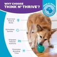 thumbnail image 4 of Juguete Masticable Interactivo Outward Hound Azul Mediano para Perro, 4 of 8