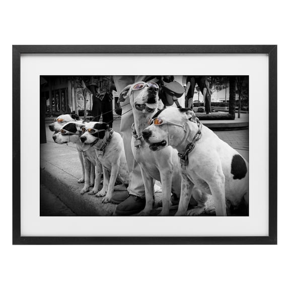 Stupell Industries Traditional Afternoon Stroll Pups Black Framed Print Under Glass, 20 x 14, by Scott Henderson
