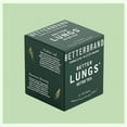 Herbal Tea Bags Mullein Leaf, Ginseng, Elderberry, Ginger & Thyme for Lung Cleanse, Congestion