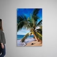 thumbnail image 2 of Great Big Canvas "Hawaii, Coconut Laying On A Sandy Tropical Beach Beneath A Palm Tree"  by Ed Robinson Black Olive Green   Wrapped Canvas Print Wall Artwork, 2 of 7
