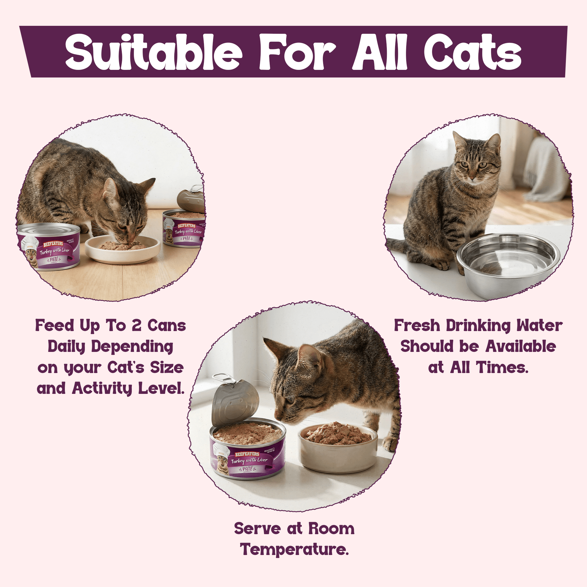 Beefeaters Turkey Liver Pate Cat Treats 5.5oz (24-Pack) – Adult Wet Food with Taurine, Premium Catfood Wet Food, No Artificial  Additives, Balanced Nutrition | Supports Immune System & Vision