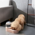 thumbnail image 4 of Mangeoire pour Chat Automatique en Plastique avec Bol en Acier Inoxydable, 4 of 10