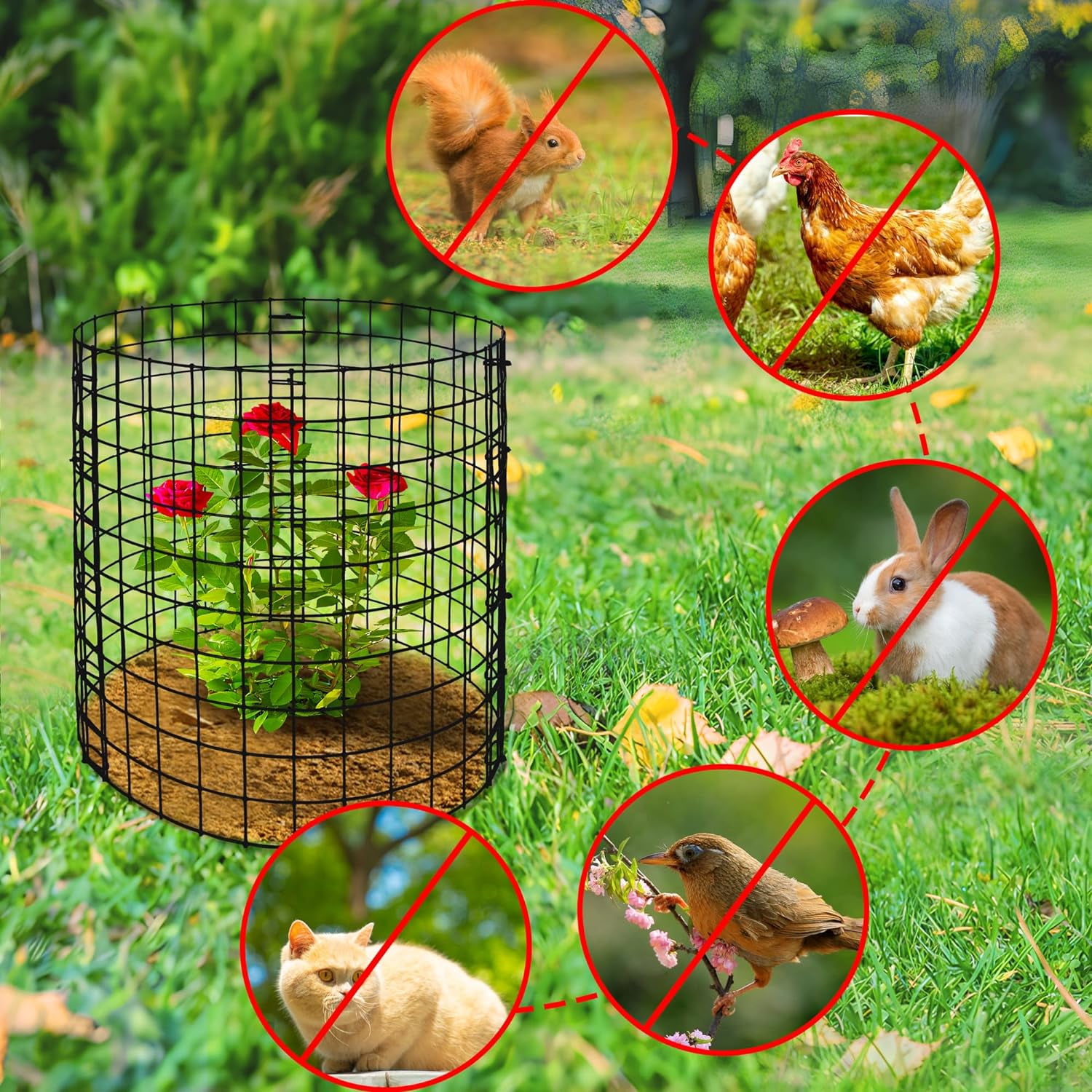 Ebaokuup 10 Pcs 12" x 12" Metal Mesh Plant Cages for Animal Protection