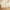 Beige, variant on JeashCHAT Dinner Plates Plastic Plates 9.65 inch Large Round Plates Dinnerware for Kitchen Lightweight Reusable Plate for Dinner Dishes