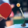thumbnail image 1 of Baohd Table Tennis Ball Trainer 30cm Playing Flexible for Stroking Action Outdoor, 1 of 9