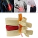 thumbnail image 3 of 4X Modelo de Vértebras Lumbares, Columna Anatómica, Hernia de Disco Lumbar, Herramienta de Enseñanza de Anatomía, Modelo de Vértebras Lumbares, 3 of 5