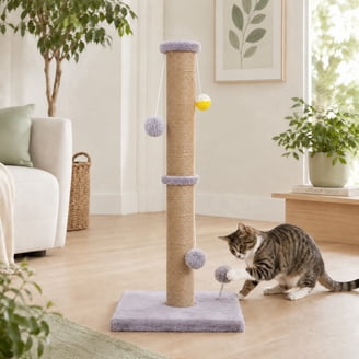 Harry Barker Deluxe Cat Scratcher Post with Wicker Bed for Cats Under 15  lbs - Walmart.com