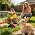 thumbnail image 4 of Rabbit Chew Toys for Teeth - Natural Wooden Pet Hanging Toy for Small Animals, Guinea Pigs & Hamsters - 8.3" x 5.1" Cage Accessories for Grinding & Biting, 4 of 4