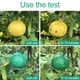 thumbnail image 2 of Trampa para mosquitos Sincero para interior y exterior 10 unidades color Verde, 2 of 10