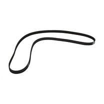 Whirlpool WP8540101 Front Load Washer Drive Belt
