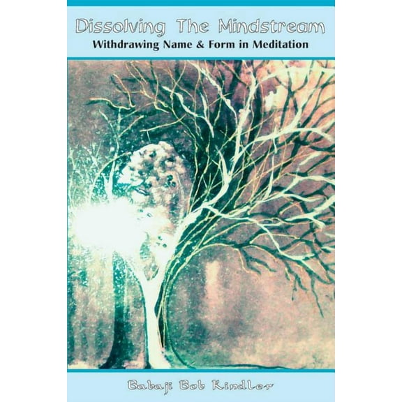 Dissolving the Mindstream: Withdrawing Name & Form in Meditation, (Paperback)
