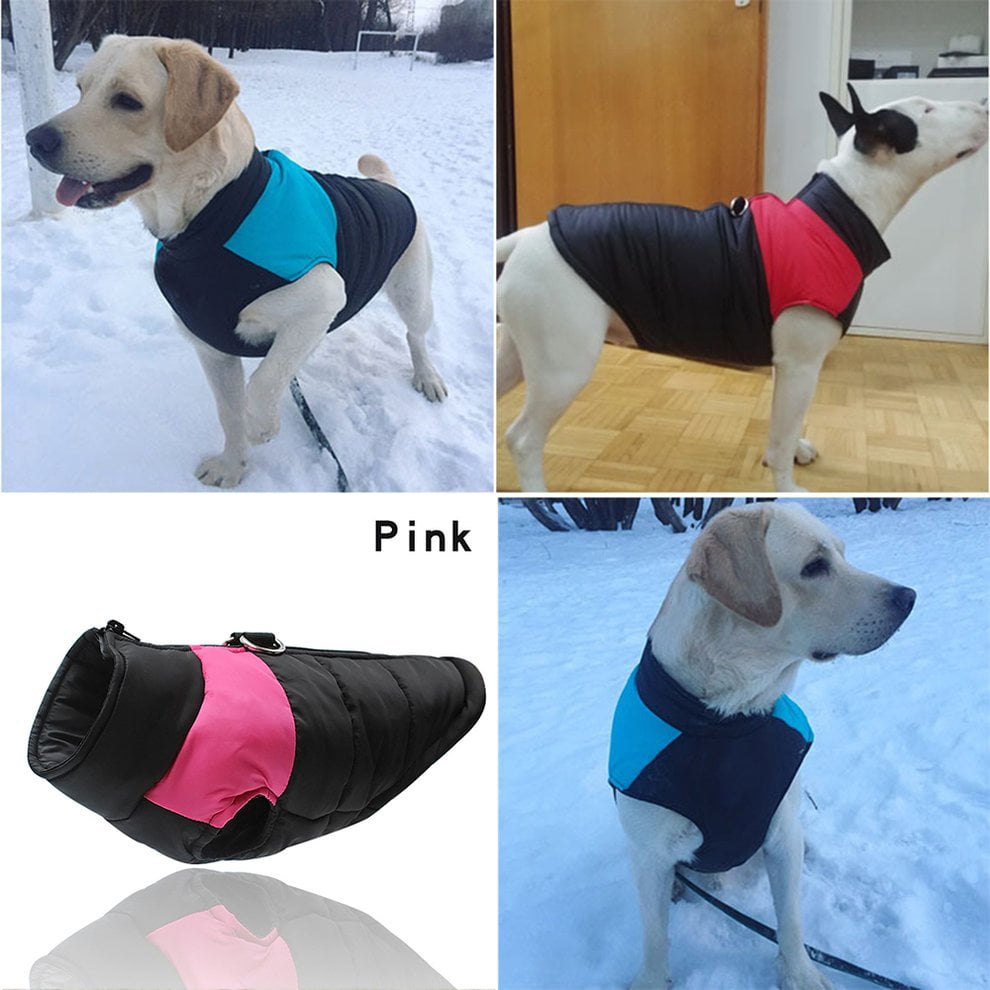 warm dog jumpers