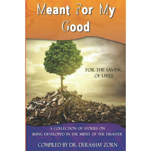 Meant For My Good: Being Developed in the Midst of the Disaster (Paperback)