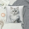 thumbnail image 2 of COMIO  Little Mountain Lion Throw Pillow Covers for Couch Bed Sofa Farmhouse Decoration, 2 of 5