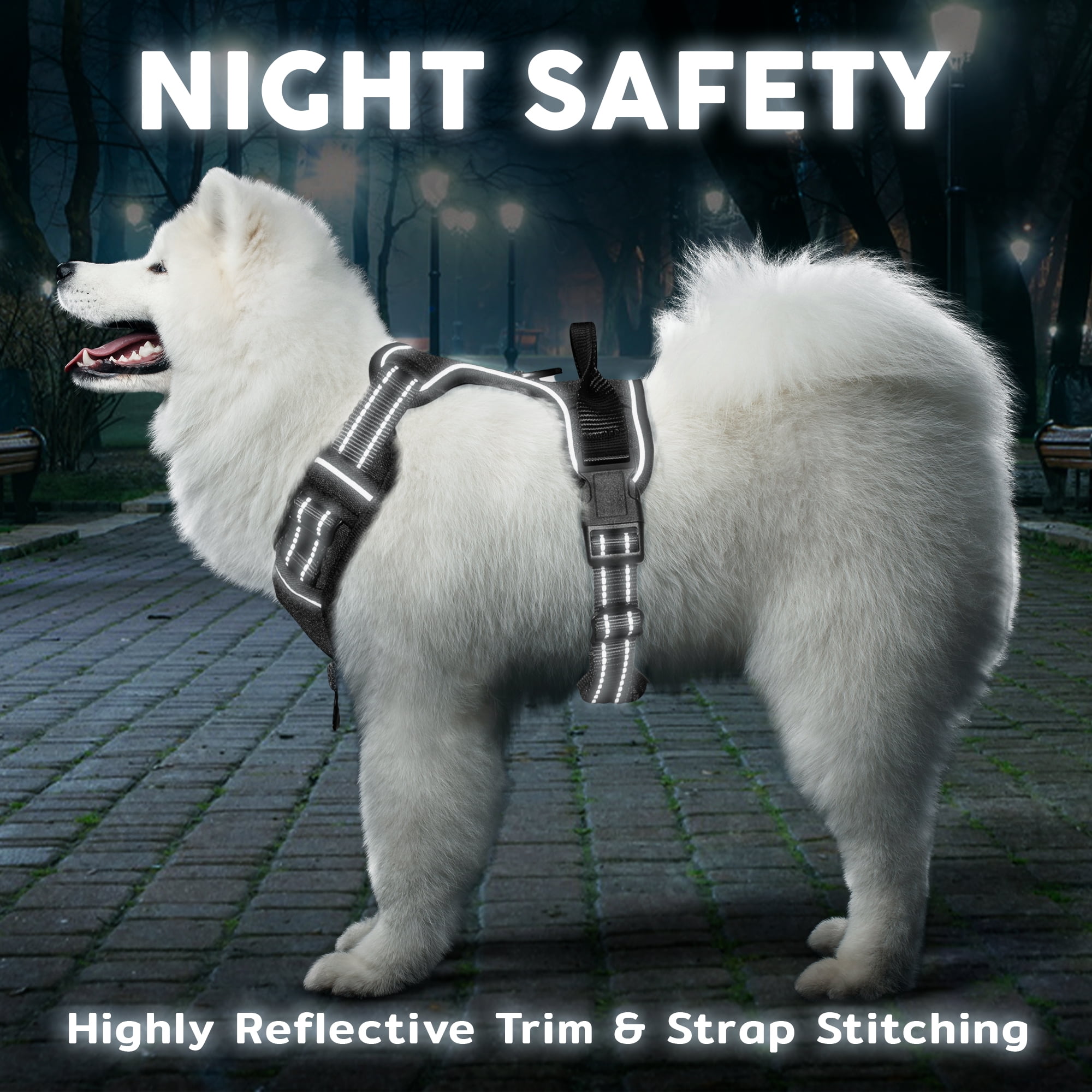 Service dog brace harness sales
