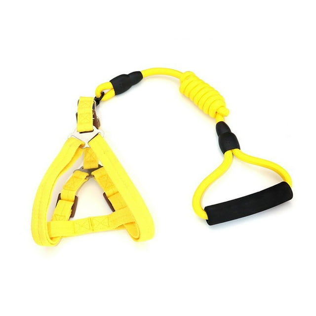 Methold Arnés para cerdos, arneses para caminar, correas portátiles de nailon, cinturón seguro, resistencia a la tracción, cuerda de plomo Tubos y túneles para animales pequeños Amarillo, 0.6*120 cm S