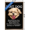 thumbnail image 3 of Jim Baldwin - Lost Dog Wall Poster, 22.375" x 34" Framed, 3 of 5