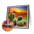 thumbnail image 2 of Cuadros Decorativos 5D bricolaje ronda completa taladro diamante pintura desierto Cactus Kit decoración del hogar (LP105) Wdftyju de costura negro 4 estilos, 2 of 9