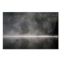 Elephant Stock Duck In Foggy Lake Wall Art - Horizontal Canvas Wall Art - Living Room Wall Decor - Nature Canvas - Brown And Gray Decor - 48" x 32"
