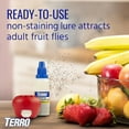 thumbnail image 3 of Fruit Fly Traps for Indoors (4 Pack) + 180 Days of Lure Supply, 3 of 10