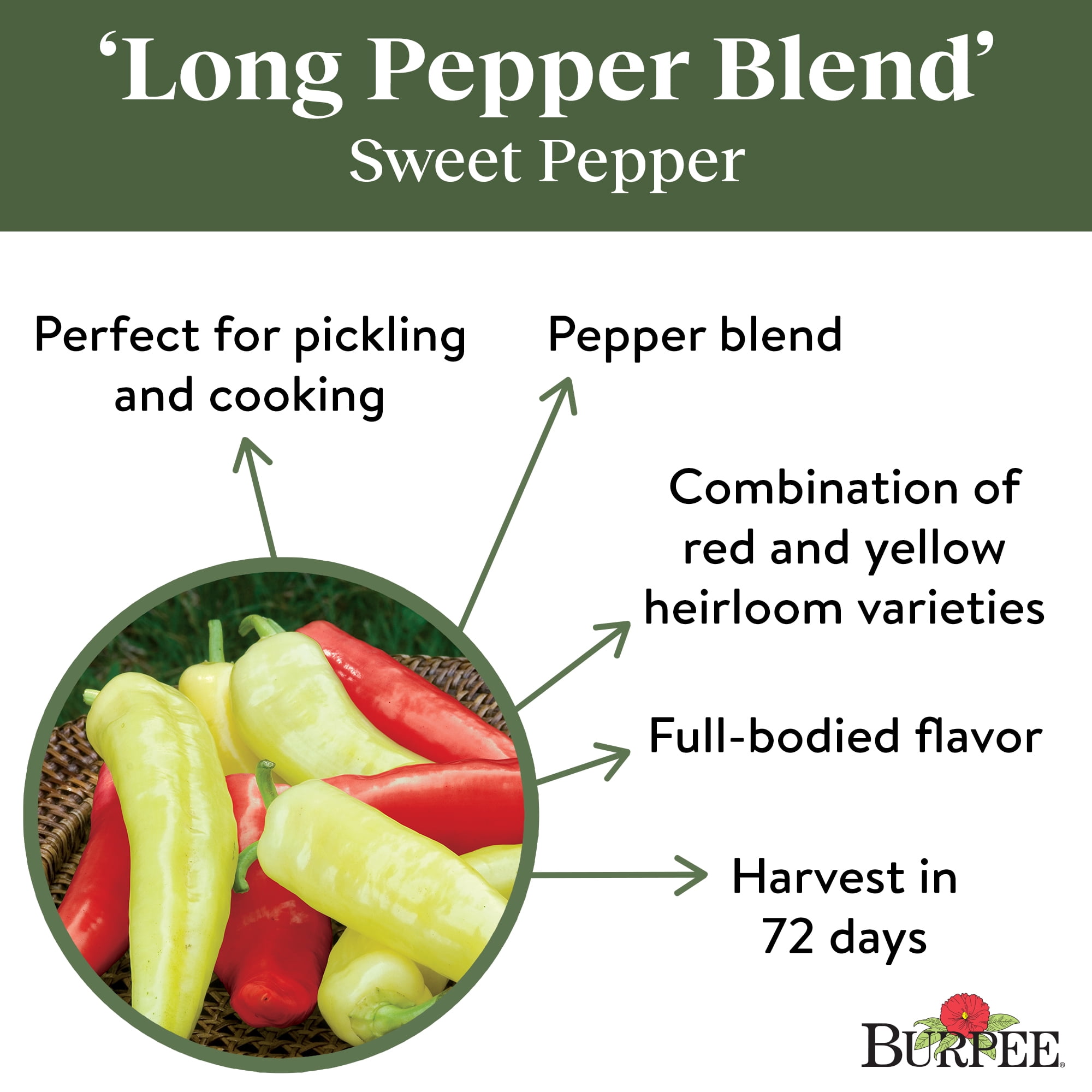 Burpee Long Pepper Blend Sweet Pepper Vegetable Seed, 1-Pack