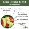 thumbnail image 4 of Burpee Long Pepper Blend Sweet Pepper Vegetable Seed, 1-Pack, 4 of 5