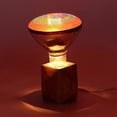 thumbnail image 4 of Waterproof Anti-Explosion 250W Infrared Heat Lamp Bulb for Poultry & Livestock Durable Heating, 4 of 5