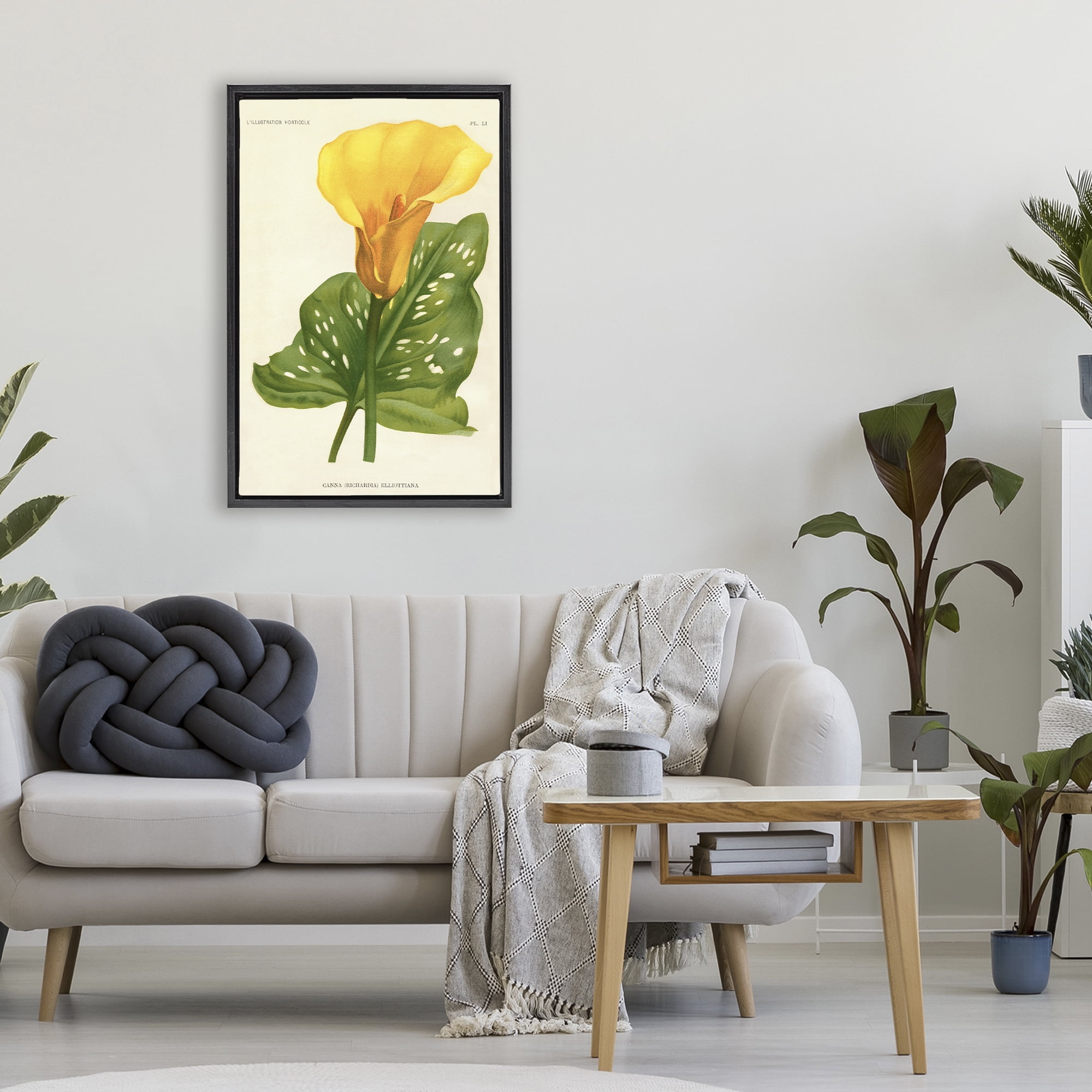 Stupell Industries Yellow Canna Lily Black Framed Floater Canvas Wall Art, design by Print Collection