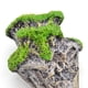 thumbnail image 3 of Simulación de rocas flotantes, decoraciones para acuarios, peceras, ruinas de rocas, plantas decorativas S, 3 of 9