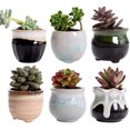 thumbnail image 1 of HUGFEGWE -6 piecesCeramic Succulent Plant Pot, Rustic Style Cute Little Pots for Plants,Perfect for Home Office Decor and Ideal Gift for Family Friends Colleague, AZ824-18480, 1 of 7
