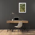 thumbnail image 3 of Jones, Adam 11x14 White Modern Wood Framed Museum Art Print Titled - Pattern in branches of palm tree-Quito-Ecuador, 3 of 4