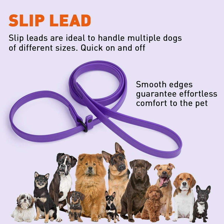 Dog leash for clearance multiple dogs