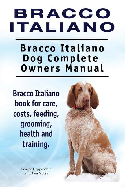 Are Bracco Italianos Good For Apartment Units