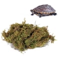 thumbnail image 3 of <p>Terrarium Moss, Resin Water Absorption Natural Natural Terrarium Moss, Reptile For Pet</p>, 3 of 7