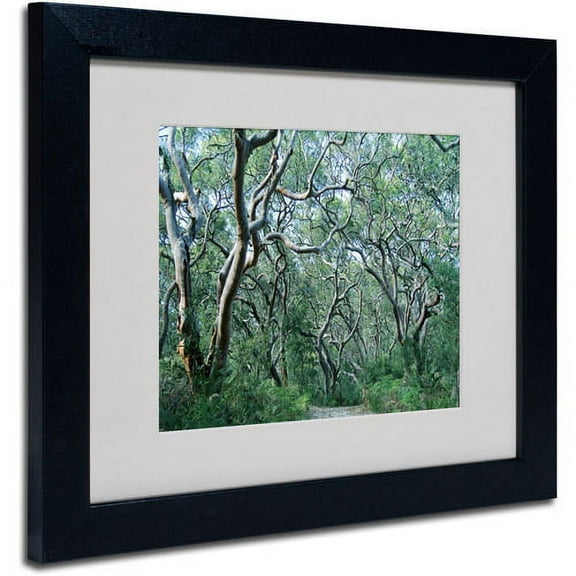 Trademark Fine Art "Beautiful Minds" Framed Canvas Art by Beata Czyzowska Young