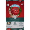 Purina ONE SmartBlend Large Breed Puppy Natural Chicken Recipe Dry Dog Food, 31.1 lb. Bag